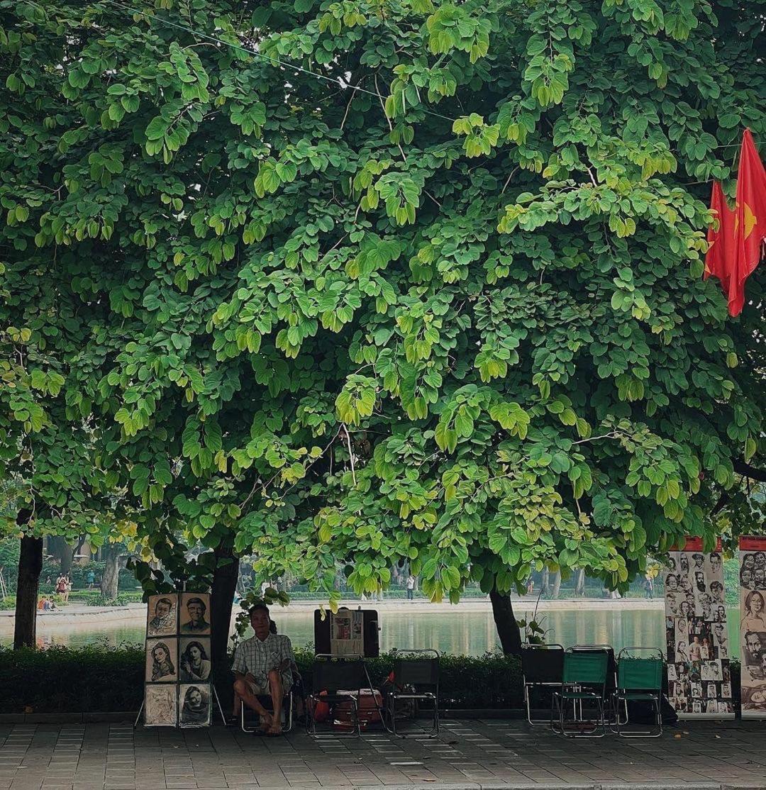 Tropical Land Little Hanoi Homestay מראה חיצוני תמונה