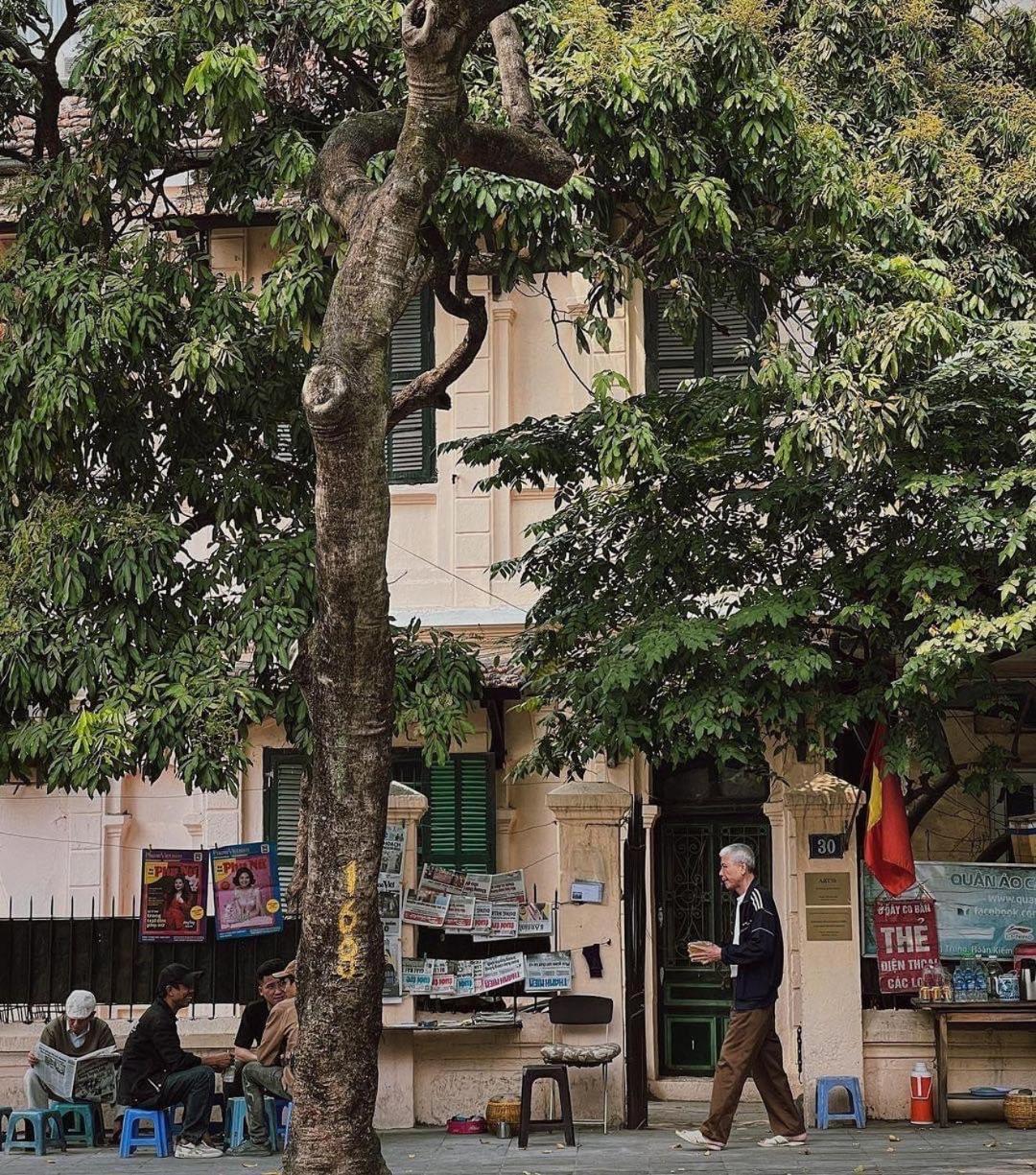 Tropical Land Little Hanoi Homestay מראה חיצוני תמונה