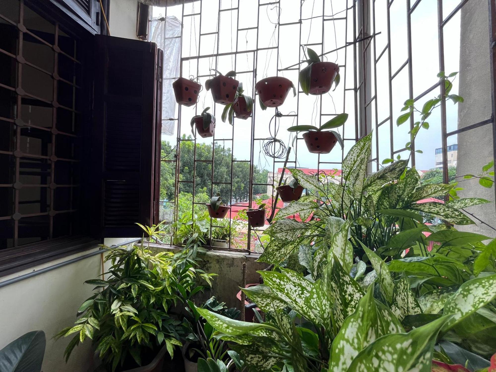 Tropical Land Little Hanoi Homestay מראה חיצוני תמונה