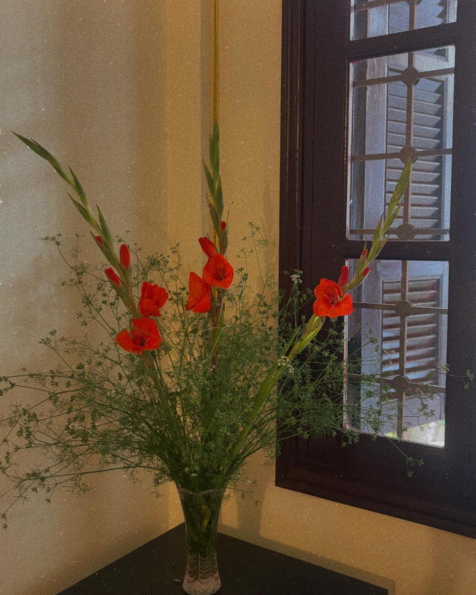 Tropical Land Little Hanoi Homestay מראה חיצוני תמונה